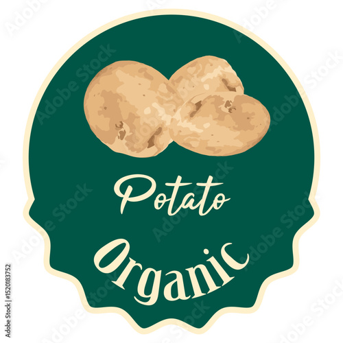 Organic  potatoes store label or sticker for your product. Raw organic potatoes vector illustration.