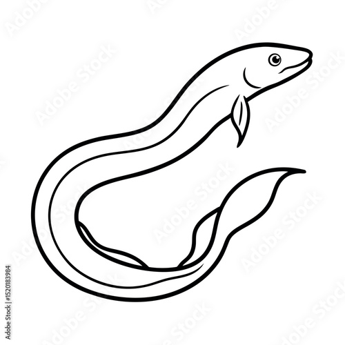 Outline of Eels Line Art Vector