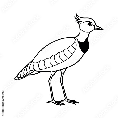 Outline of Southern Lapwing Line Art Vector