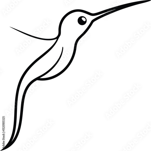 long  tailed sylph icon line art vector illustration on transparent background