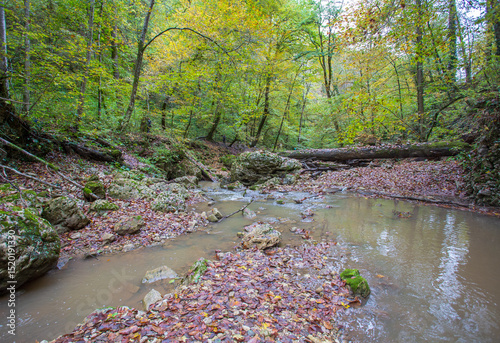 Wallpaper Mural autumn, the shallow riverbed with huge boulders and pebbles, the slow flow of water Torontodigital.ca