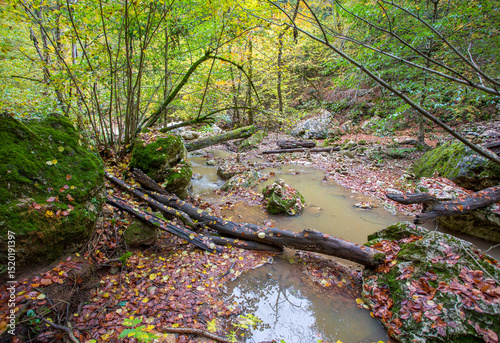 Wallpaper Mural autumn, the shallow riverbed with huge boulders and pebbles, the slow flow of water Torontodigital.ca