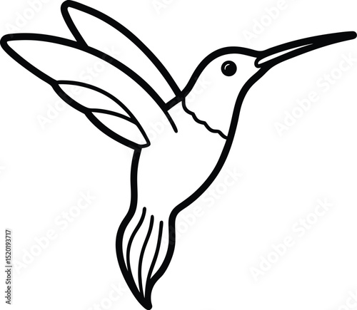 ruby throated hummingbird icon line art vector illustration on transparent background
