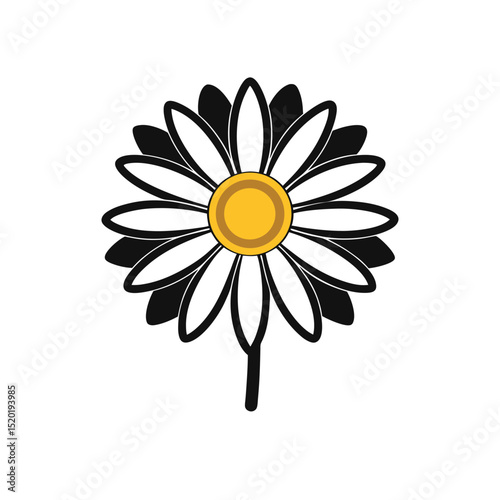 camomile on white background