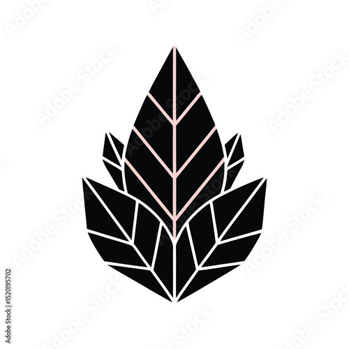 vector illustration of a leaf
