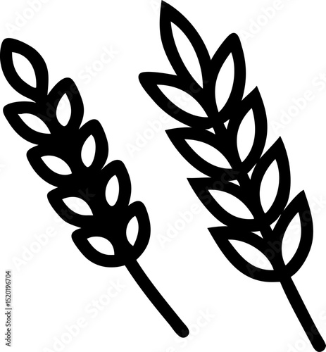 Hand drawn wheat and rye illustration in a simple doodle style featuring agriculture and harvest themes with a rustic natural