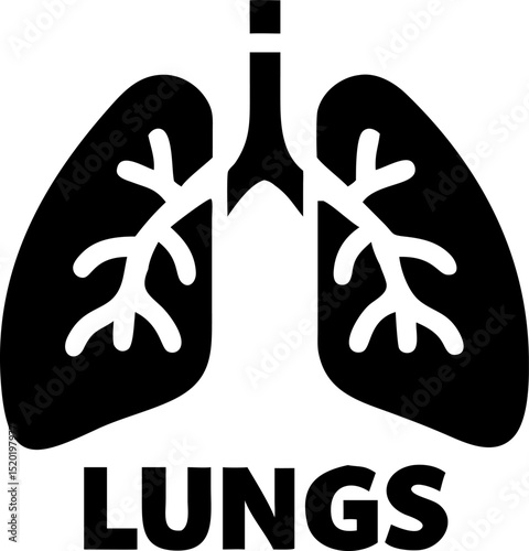 Black and white vector illustration of human lungs potentially including text suitable for medical or anatomical designs and educational resources