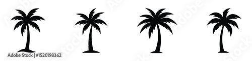 Black palm tree set vector illustration isolated on white background silhouette art black white stock illustration logo icon png. tropical, beach, landscape, pattern, paradise, coconut background.