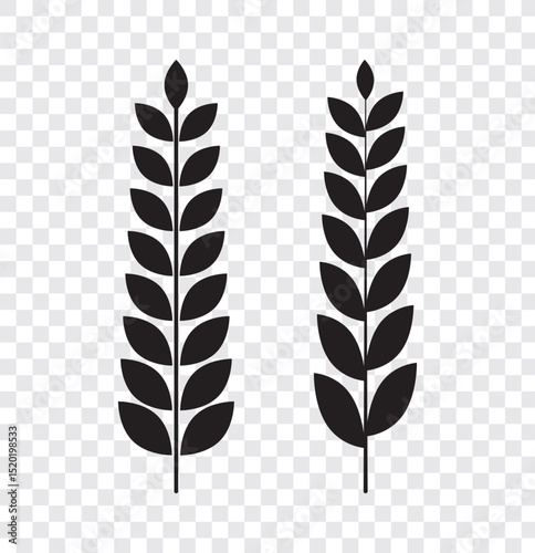 Wheat silhouette collection. Ear of wheat symbols. Wheat icon vector illustration. EPS 10.
