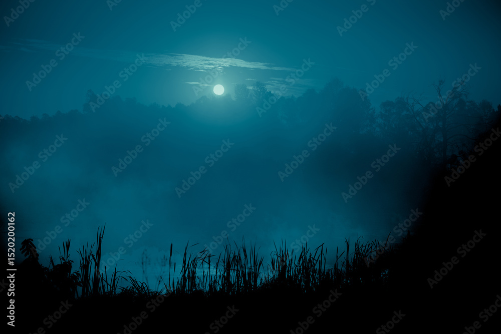 Fototapeta premium Night mystical scenery. Full moon over foggy river with reeds silhouettes on the foreground.