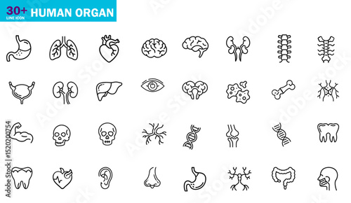 Human Organs Icon set