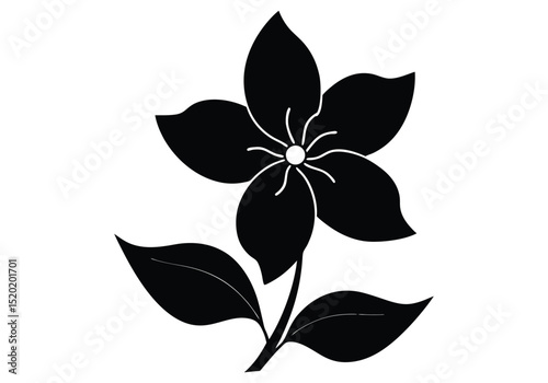 Jasmine Flower Silhouette Fragrant Elegant  silhouette