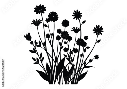 Meadow Flowers Silhouette Wild Free  silhouette
