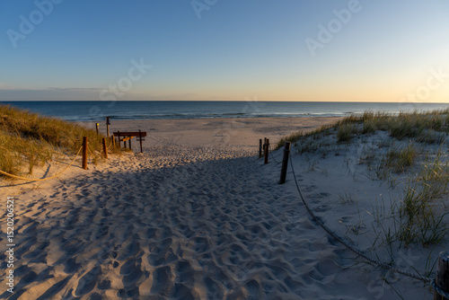 Sunlit Path Leading to Beach