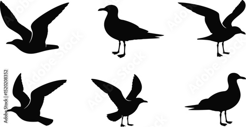 A collection of six seagull silhouettes in various poses on a white background