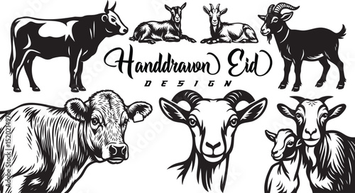 Goats and Cow Line Art Illustration