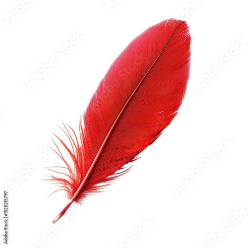 Bright red feather lying on a white background, showcasing its intricate details and vibrant color, ideal for decorative purposes