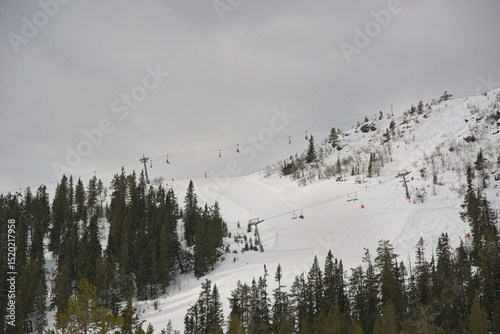snow covered mountains