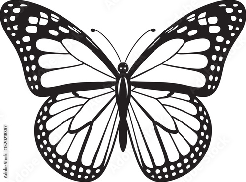 Detailed Butterfly Black and White Line Art