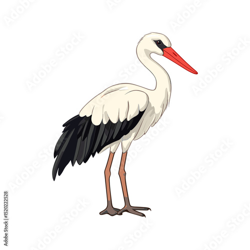 Elegant Stork Portrait: A majestic stork stands tall, showcasing its striking plumage and slender form. Capturing the grace and elegance of this iconic bird.