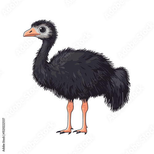 Mysterious Kiwi in Isolation: An artistic rendering of a kiwi bird, showcasing its unique features, standing alone against a clean backdrop.