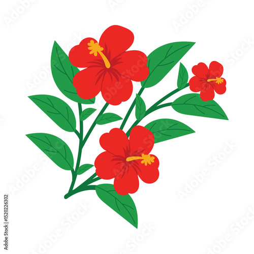 Red hibiscus flower with green leaves. Tropical floral illustration. Perfect for summer decoration, packaging, prints, cards or pattern design.