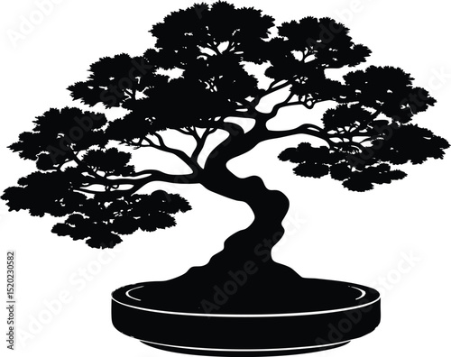 bonsai on wooden stand silhouette, miniature tree in silhouette
