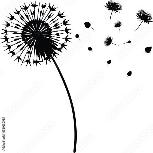 dandelion seeds in wind silhouette, drifting dandelion silhouette