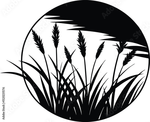 grasses framing sunrise silhouette, dawn through grass silhouette