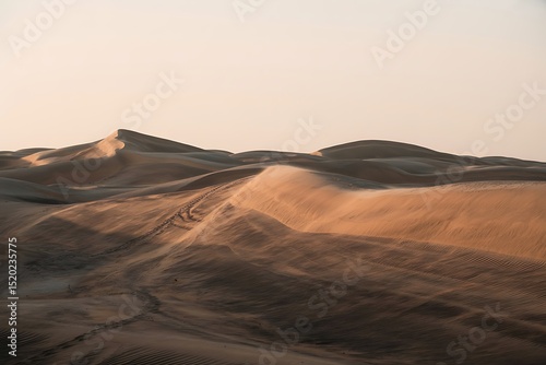 Serene desert landscape under a soft sky showcasing warm, gentle light