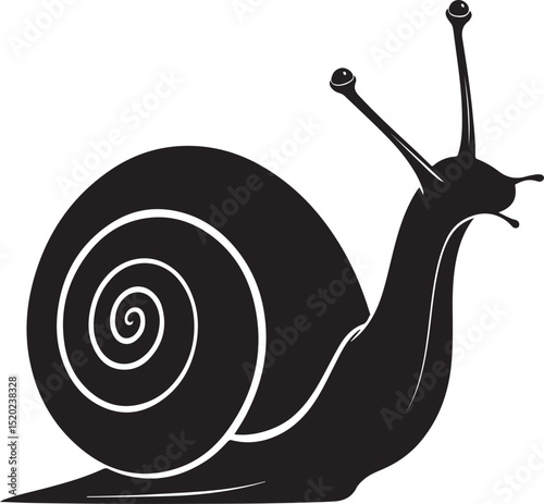 Hand drawn snail vector and Snail silhouette illustration
