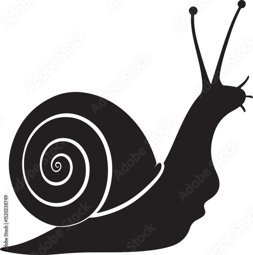 Hand drawn snail vector and Snail silhouette illustration
