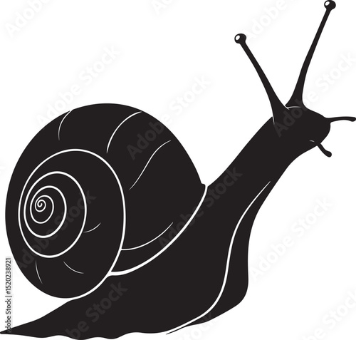 Hand drawn snail vector and Snail silhouette illustration
