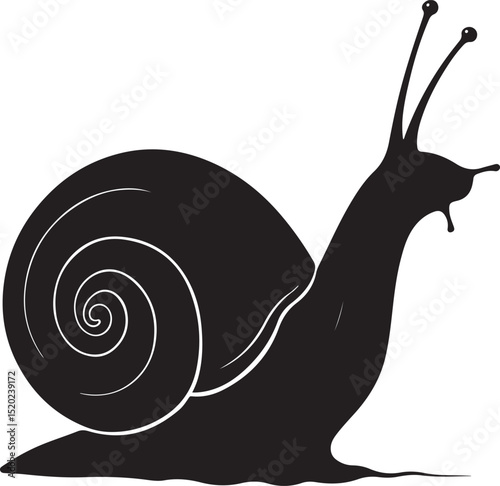 Hand drawn snail vector and Snail silhouette illustration
