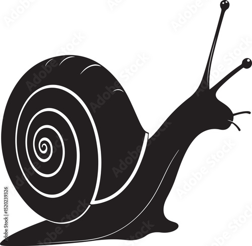 Hand drawn snail vector and Snail silhouette illustration
