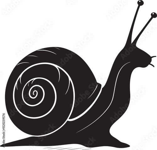 Hand drawn snail vector and Snail silhouette illustration
