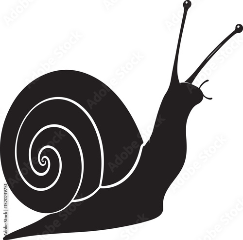 Hand drawn snail vector and Snail silhouette illustration
