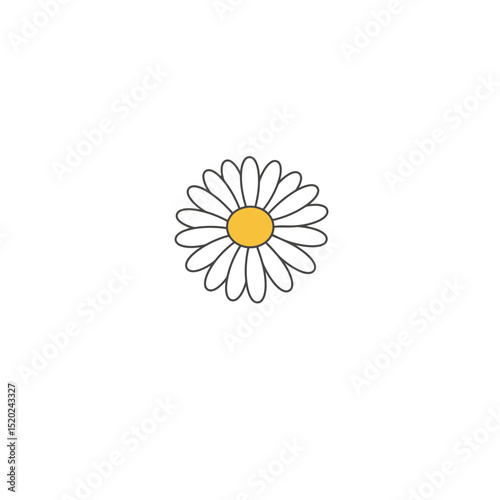 Vector illsustration of chamomile or daisy flower with yellow center. Herbal ingredients, flora ant types of flowers