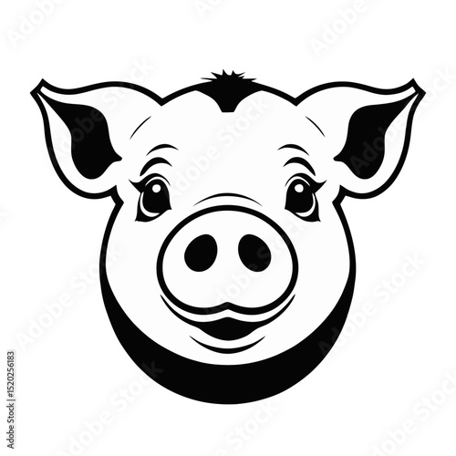 pig head