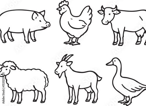 Farm Animals Illustration
