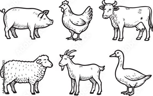 Farm Animals Illustration