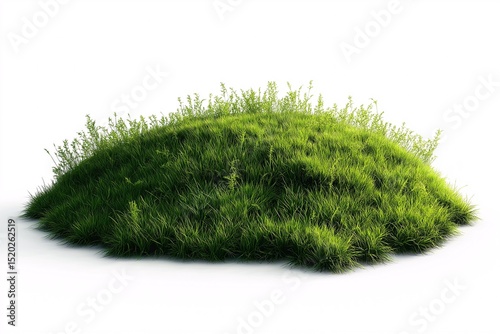 Vibrant Greenery. Idyllic Meadow Landscape with Blooming Wildflowers in Summertime Rural Countryside