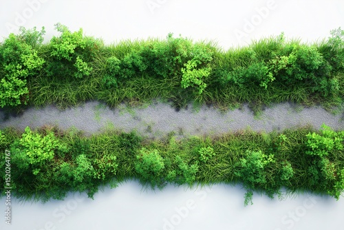 Aerial Topview of a Serene River in Lush Parkland - Vibrant Nature, Wildlife & Tranquil Scenic View