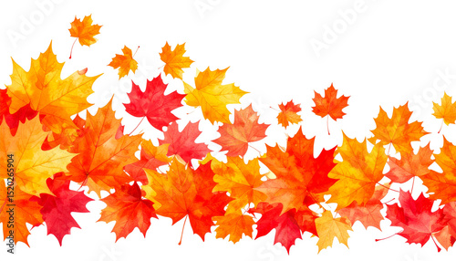 Red Orange Yellow Autumn Maple Leaves Background