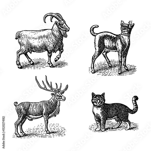 Vintage engraved illustration featuring a goat, a cat, a deer, and a domestic cat in artistic composition