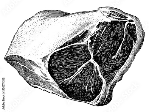 Vintage engraved illustration of a meat cut showcasing intricate details and textures in monochrome style
