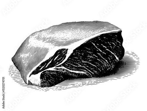 Vintage engraved illustration of a premium cut of meat showcasing its natural texture and appeal
