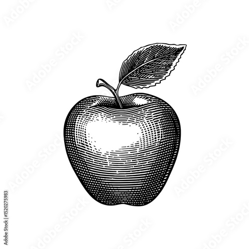 Intricate vintage engraved apple emblem showcasing detailed line work and classic design elements