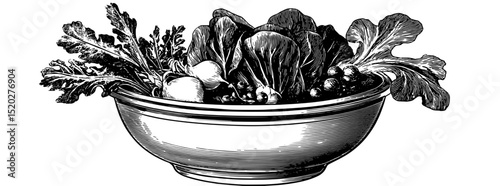 Engraved vintage illustration of a bowl filled with fresh leafy vegetables and herbs showcasing nature's bounty