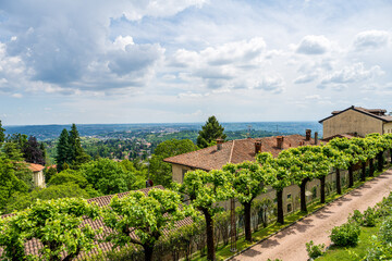 Crédence de cuisine  Explore the beautiful scenic vineyard landscape featuring rolling hills beneath a cloudy sky  © Deniz